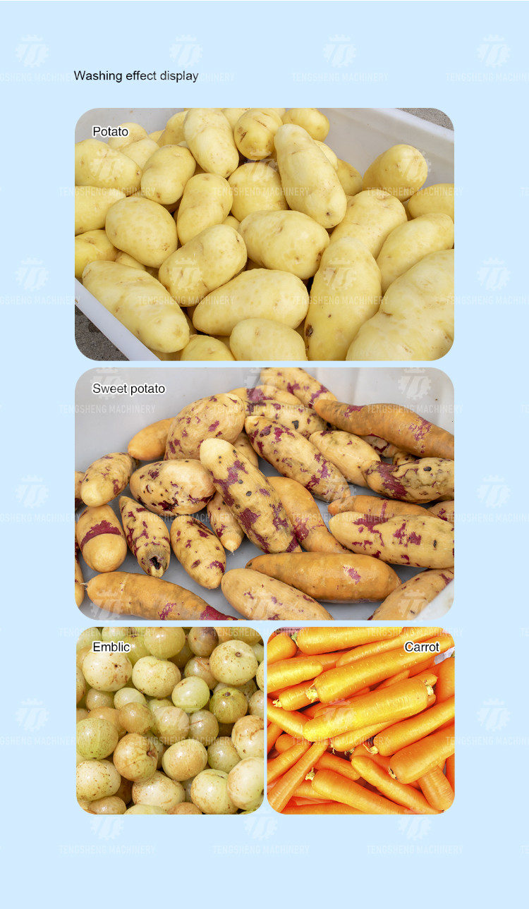 Potato cleaning peeling machine taro peeling machine multi-functional horseshoe hair roller cleaning machine