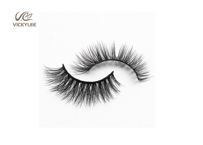 Whole Strip Fan Shaped OEM Natural False Eyelashes