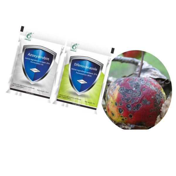 Fungal Disease Treatment Control Rice Blast 37% Difenoconazole 25% Azoxystrobin