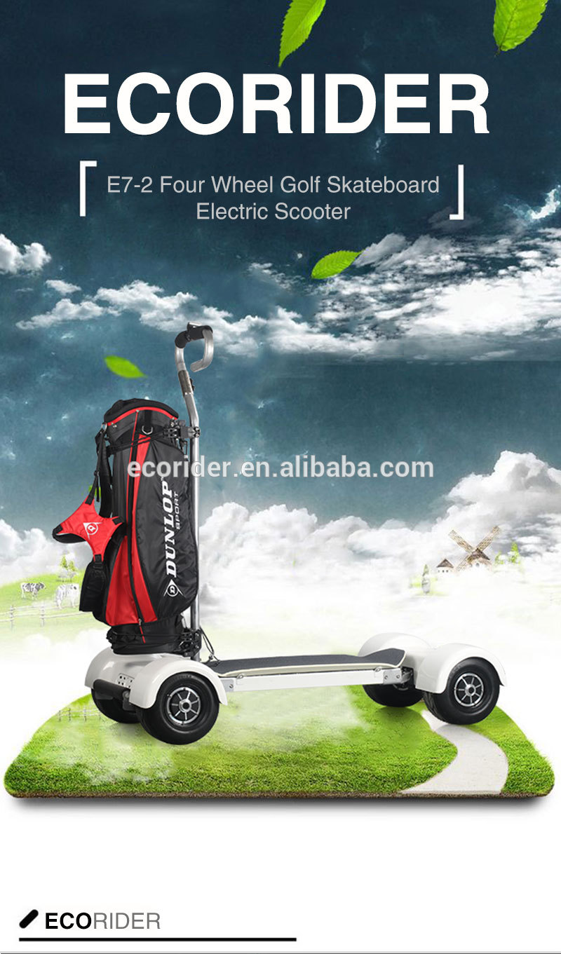 EcoRider 1000w 4 Wheel Skateboard Golf Electric Scooter Long Board CE Certificated