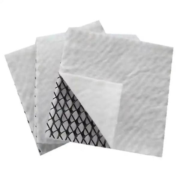 HDPE Composite Geonet Plastic Geocomposite for Drainage and Protection