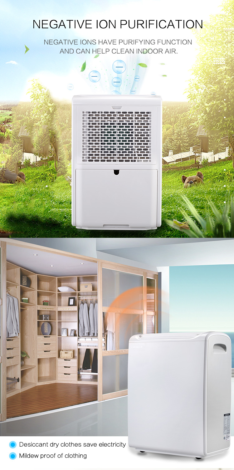 Portable 46 Pints 220V Parkoo Dehumidifier For Living Room