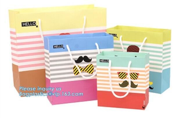 Luxury Rope Handle Laminated Paper Carrier Bags,brand Luxury laminated manila carrier paper hand bag, bagplastics, bagea