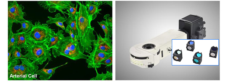 Research Scientific Full Auto Motorized Opto-Edu Binocular Biological Microscope A12.1095