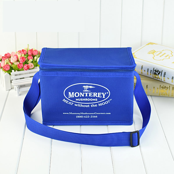Square shape, hot and cold durable reusable,insulated picnic cooler bag,zippered non woven picnic lunch bag