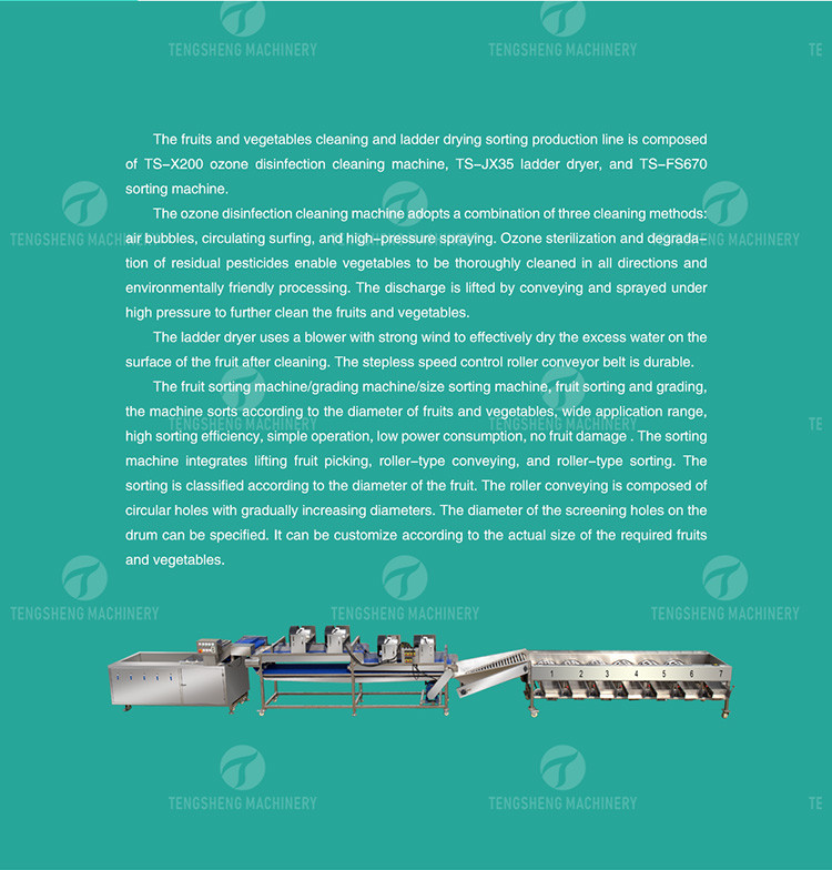 Tengsheng High Voltage Spraying Fruit And Vegetable Processing Line Industrial residual degradation