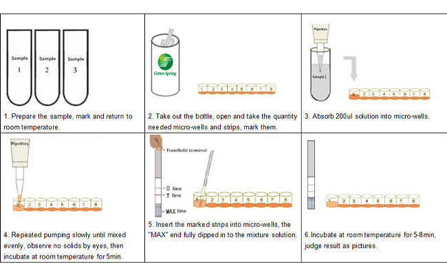 0.5ppb Sensitivity Mycotoxin Test Strips For Fresh Milk Powder Aflatoxin M1 Rapid Test Kit