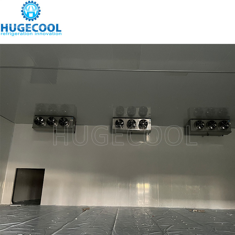 Customized Design Cold Storage Freezer Room for Food Processing