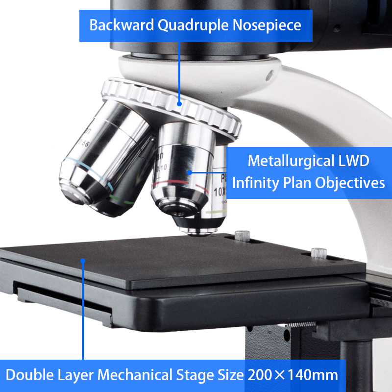 WF10X Eyepiece Binocular Student Optical Microscope ABBE NA1.25 Condenser