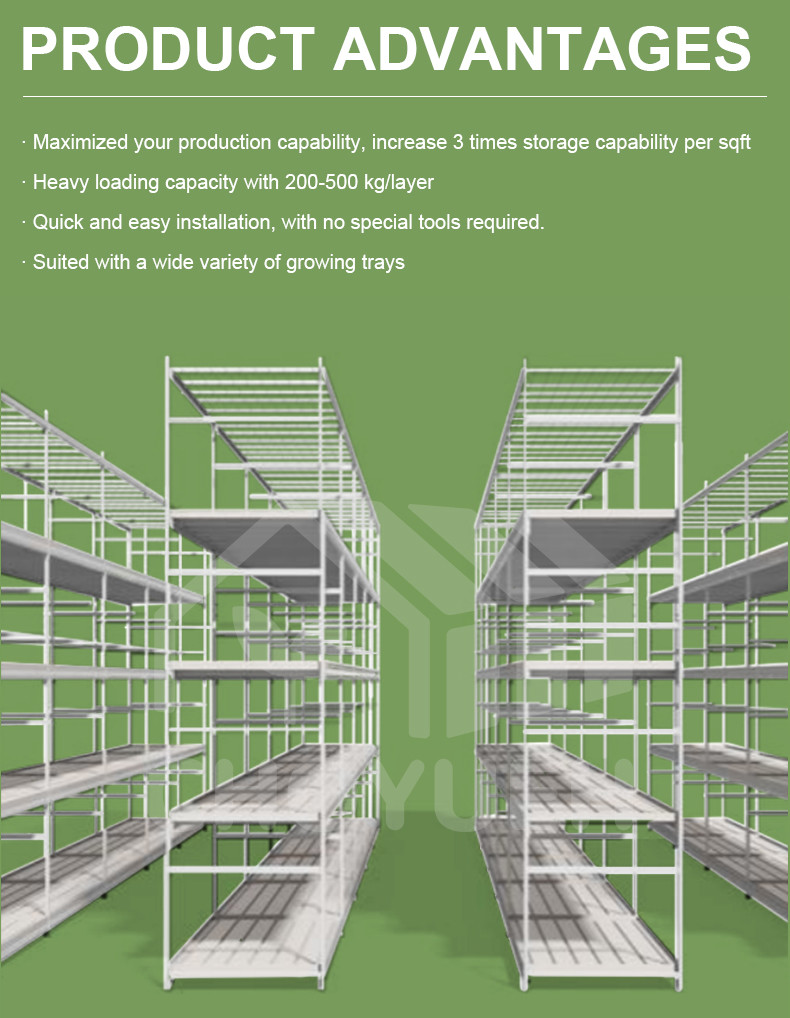 Construction Irrigation Holding Stands Intelligent Home Hydroponic Lettuce Aquaphonics Growing System