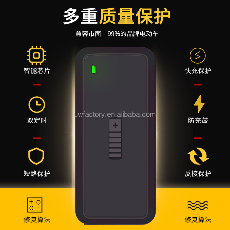 Intelligent Lead Acid Lithium Battery Charger 12v 24v 10A 20A 30A for Electric Vehicle and Car Battery Charging System