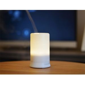 Home Electric Aroma Diffuser Machine Aroma Mist Diffuser 100ml