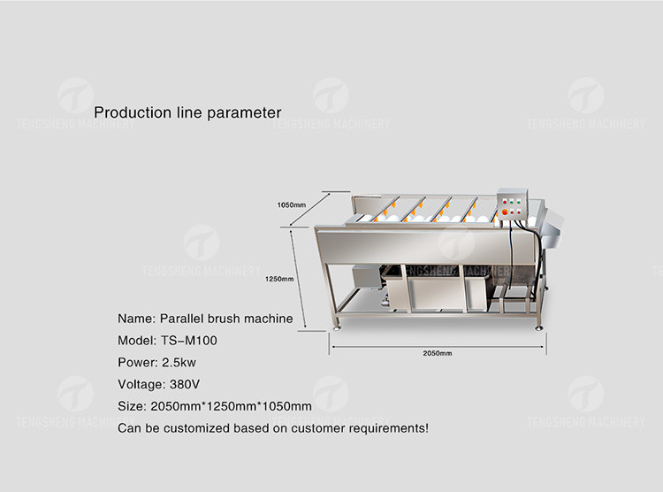 SS 380V Industrial Vegetable And Fruit Washing Machine