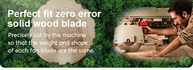 1stshine Ceiling Fan with Private Mold NO Laser Printing and Natural 5 Wind Speeds