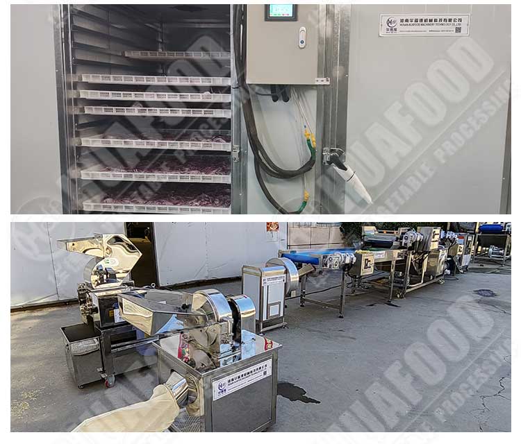 Grape Ginger Root Extract Powder Machine With High Quality