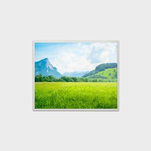  19 inch TFT Display LVDS Interface With 1280*1024 Resolution Support Customized Soltuion Manufactures