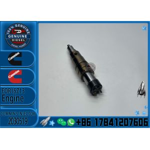 Original Common Rail Fuel Injector 0445120196 10117168 10490018 for Liebherr