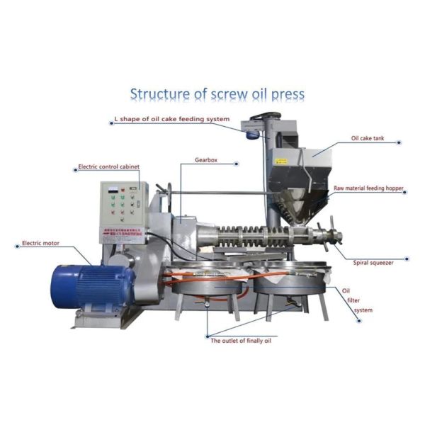 Customized Request Mustard Oil Pressing Machine Full Automatic Screw Squeezed Press