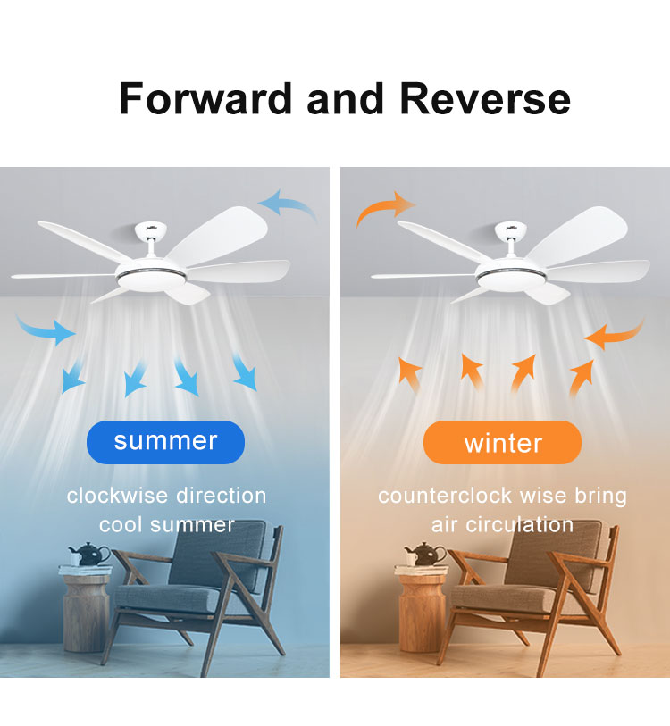10- 6-Blade LED Ceiling Fan with Remote Control and Customizable Suspension Length