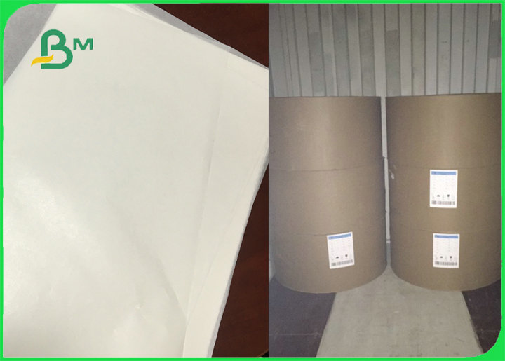 FDA Certificated Food Grade White Mg Kraft Paper 30gsm to 40gsm in Reels