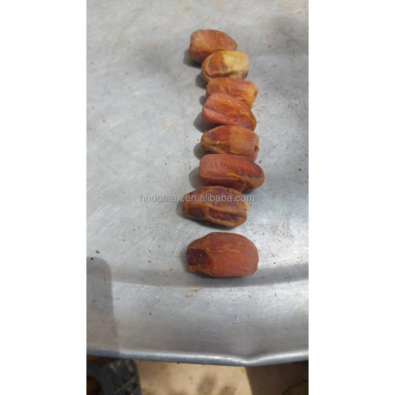 Convenient Olive Destoner Stone Fruit Dates Pitting Machine for Simple Operation