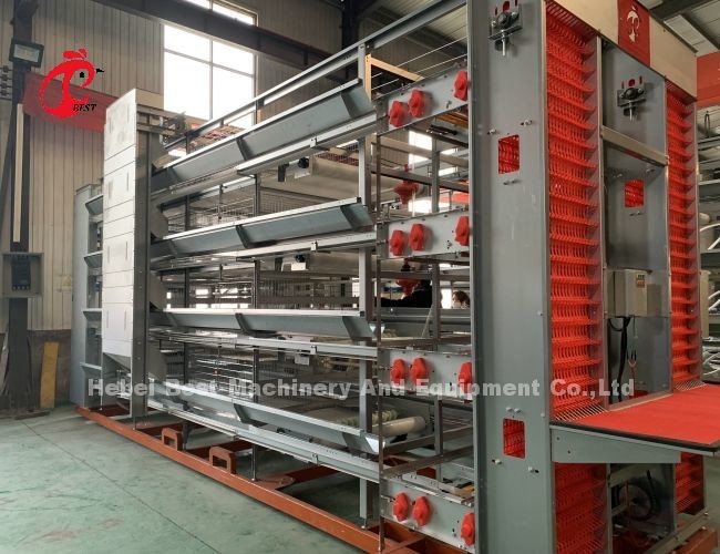 Q235 Steel Chicken Battery Cage For Poultry Farm Custom Size Iris