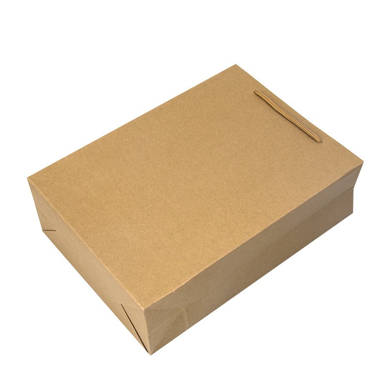 Brown Biodegradable Bulk Craft Paper Bags , Durable Paper Shopping Bags With Handles