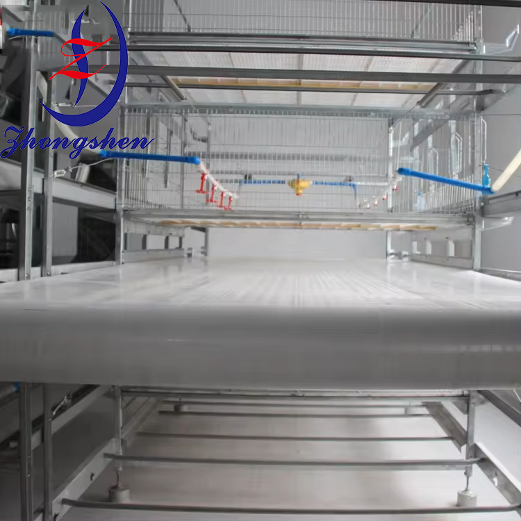 Customization Poultry PP/PE Manure Removal Belts from Zhongshen