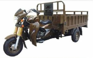  Shaft Drive Motorized 3 Wheel Cargo Motorcycle with Steel Frame and Car Axle Manufactures
