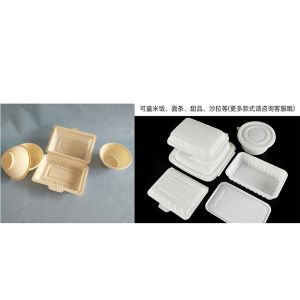 PLA Biodegradable Sheet Extrusion Line PLA Sheet Production Machine Quality