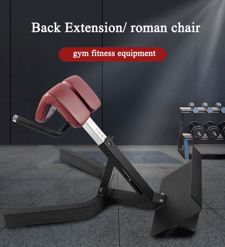 Befreeman Hot Selling Gym Fitness Exeserces 45 Degree Back Extension Machine Roman Chair for Sale