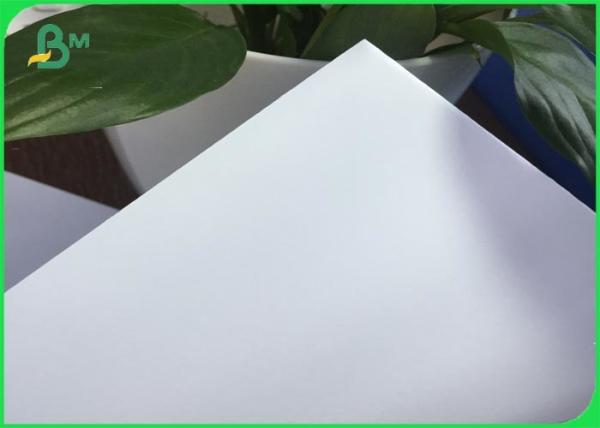 50g 60g 70g 80g Offset Printing Paper , A4 Size White Paper Roll For School
