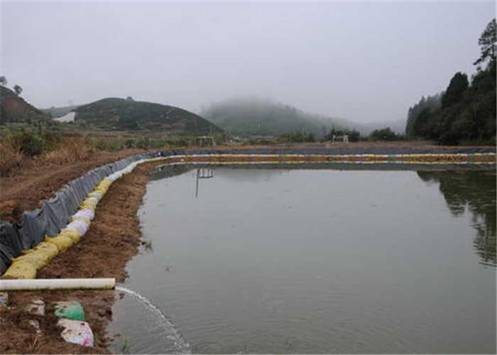 0.2mm Hdpe Polyethylene Geomembrane Sheet For Pond Liner And Landfill
