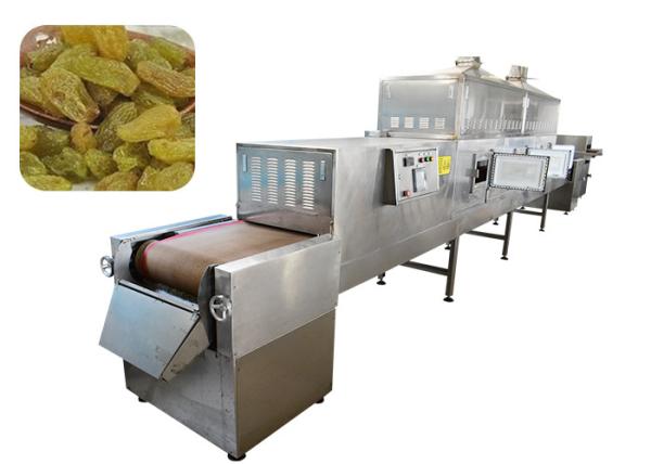 Belt Conveying Raisins Food Sterilization Equipment , Microwave Sterilization