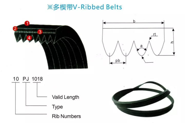Tension Roller Kit Bearing Pulley Wheel EPDM Rubber CR PK Belts