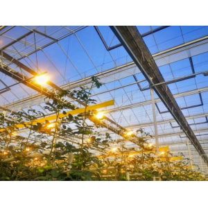 Customized Request Juxiang Tomato Cucumber Lettuce Structure Illuminating