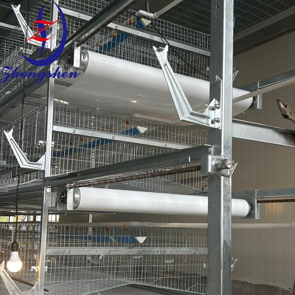 Quality Zhongshen Poultry Manure Conveyor Belt – Poultry Manure Cleaning System for sale