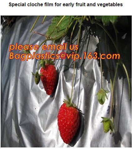 Greenhouse, Agricultural Polyethylene Film, Mulch Films, Horticultural Products, Perforated Wrap, Tomato, Flowers