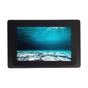  10 Point Capacitive Touch Monitor with CE/FCC/RoHS Certificates and WLED Backlight Manufactures