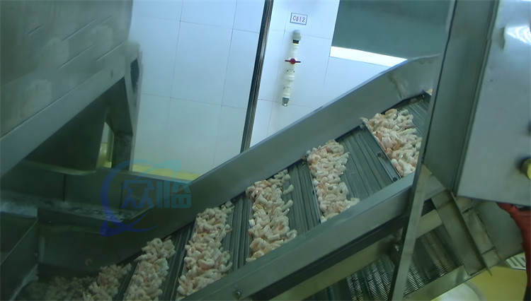 ISO 2.23KW Commercial Fish Processing Machine , Anti Corrosion Shrimp Cooked Machine