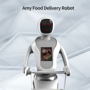 Intelligent Automatic Restaurant Service Robot Autonomous Delivery Robot
