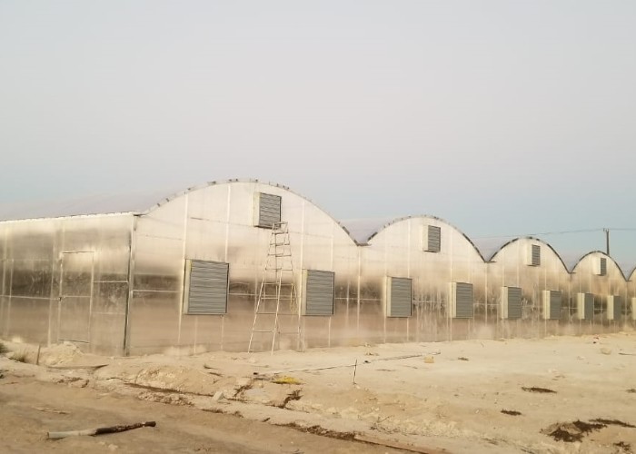 8mm 10mm Commercial Polycarbonate Greenhouse With Shading System Irrigation System