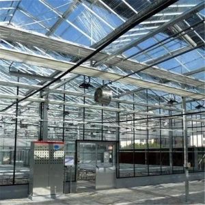 China Cultivation Method Hydroponics Customized Glass Greenhouse for Cucumber Customization on sale