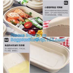 Pulp bowl, sugarcane take away fast food container with Lid,Compostable