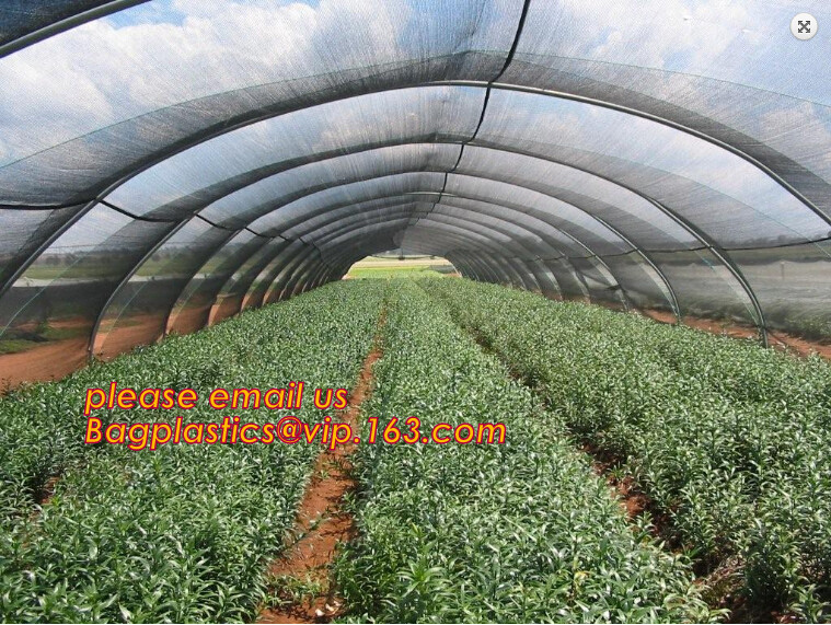 PE safety net for building and construction debris safety net,Safety Nets for Construction Safety 120g Construction Buil