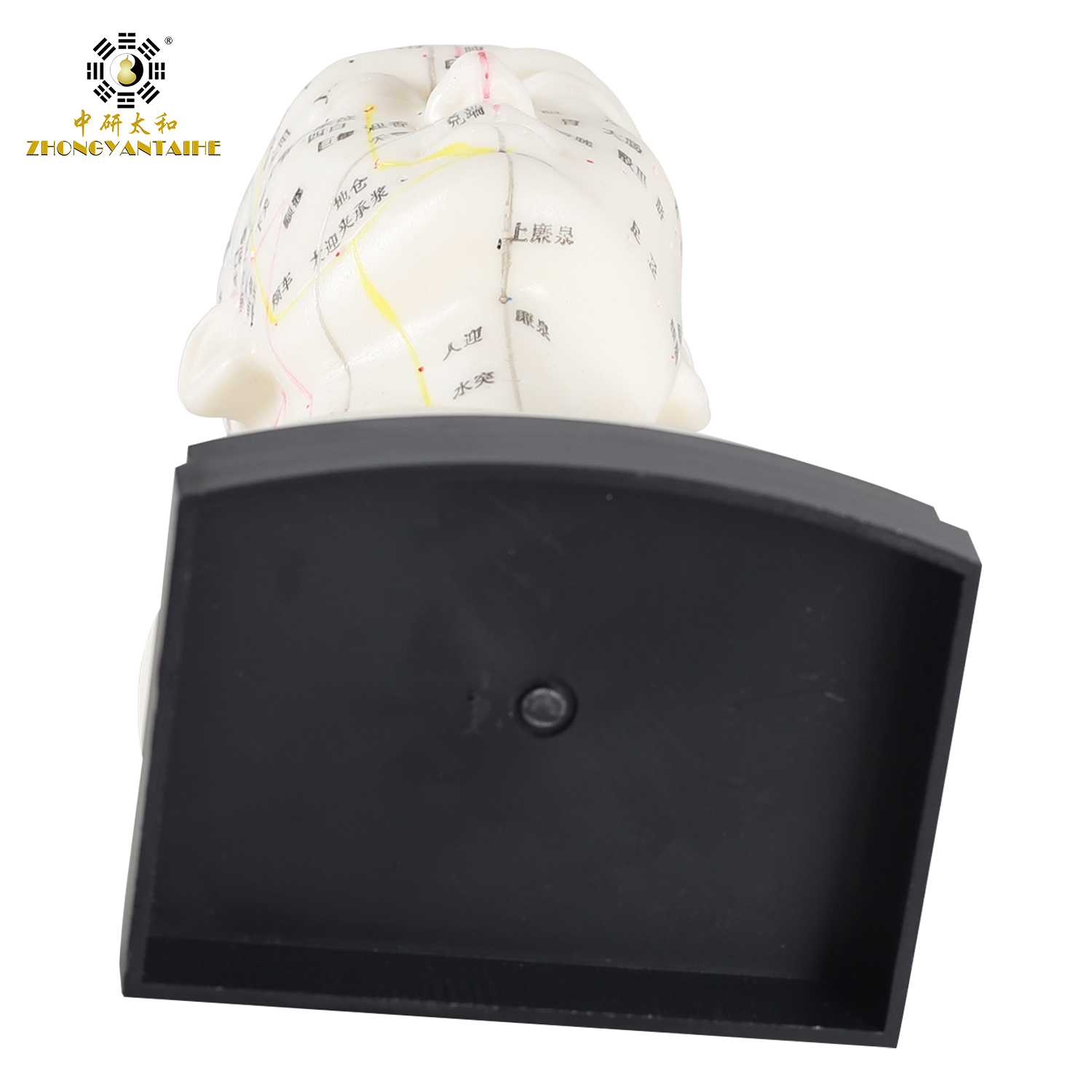 Eco Friendly 20cm Head Acupuncture Body Model Without Effusion Liquid