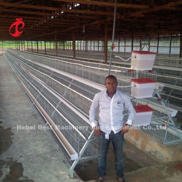 Angle Bar Frame Poultry Battery Cage System H Type Layer Chicken Cage Africa