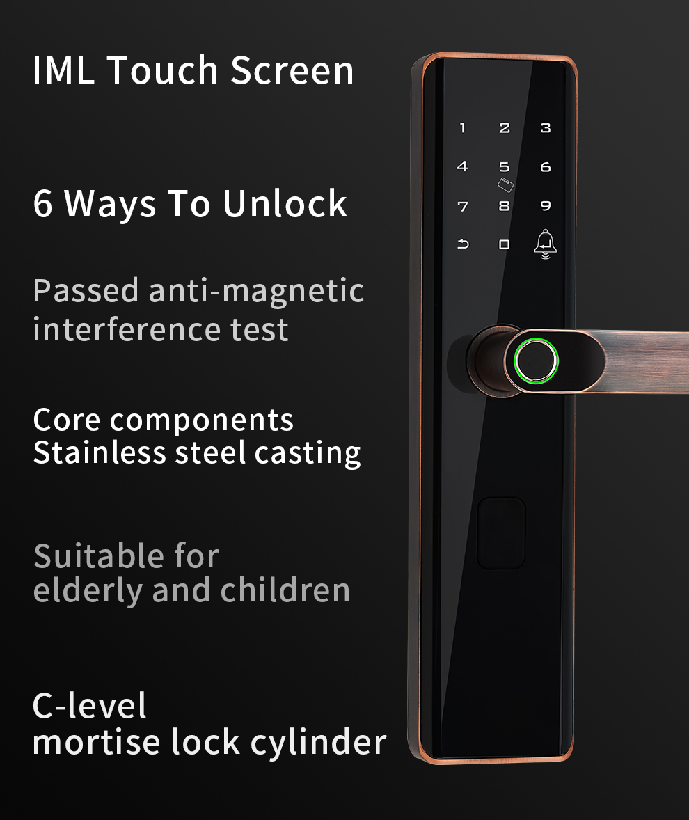 RoHS Tuya Smart Fingerprint Door Lock With Password Memory Card