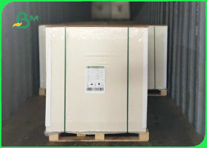  Absorbent paper