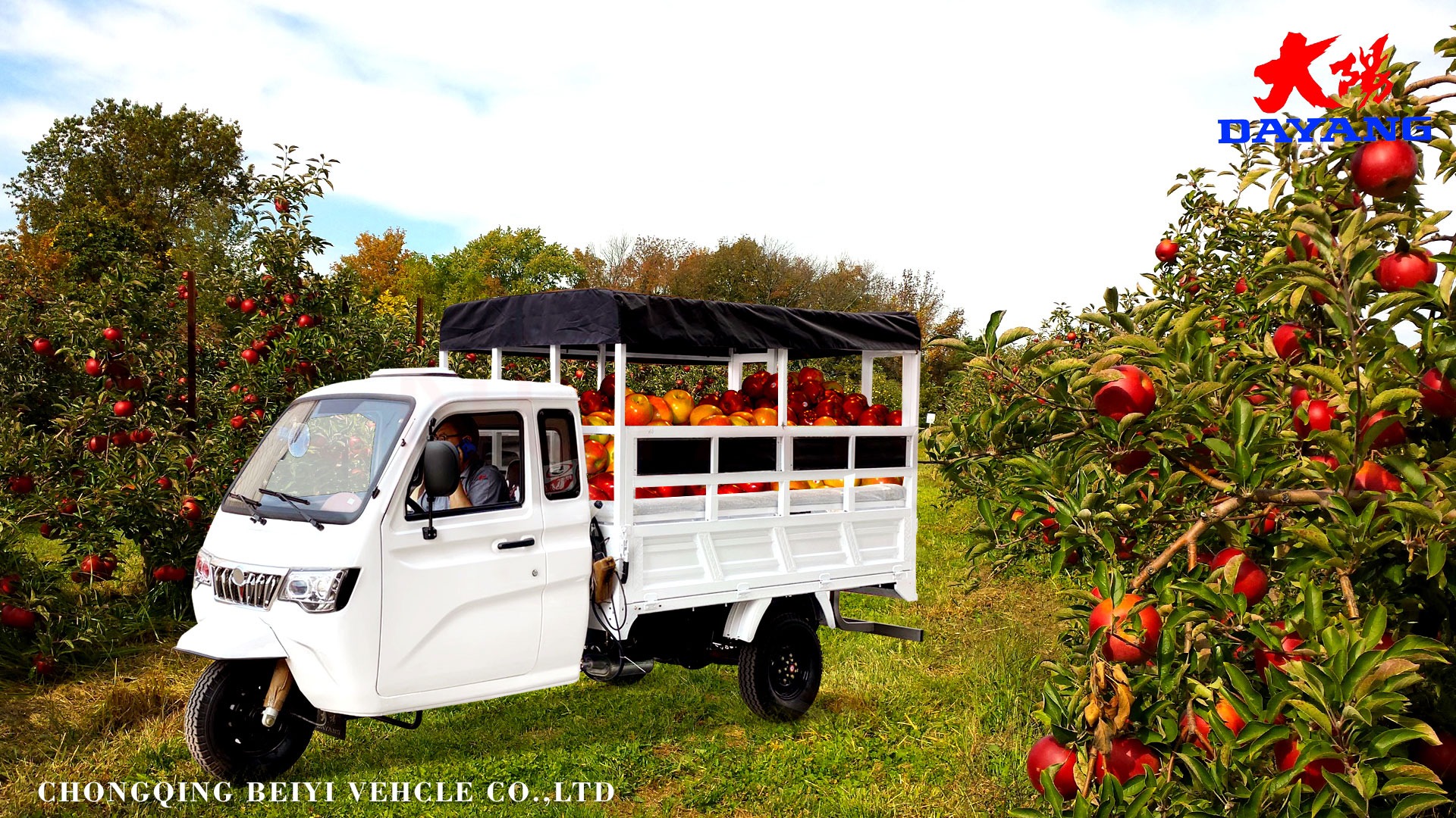 Closed Body Type 2-Seats Passenger Tricycle with Big Cargo Box and 6 3 Leaf Spring